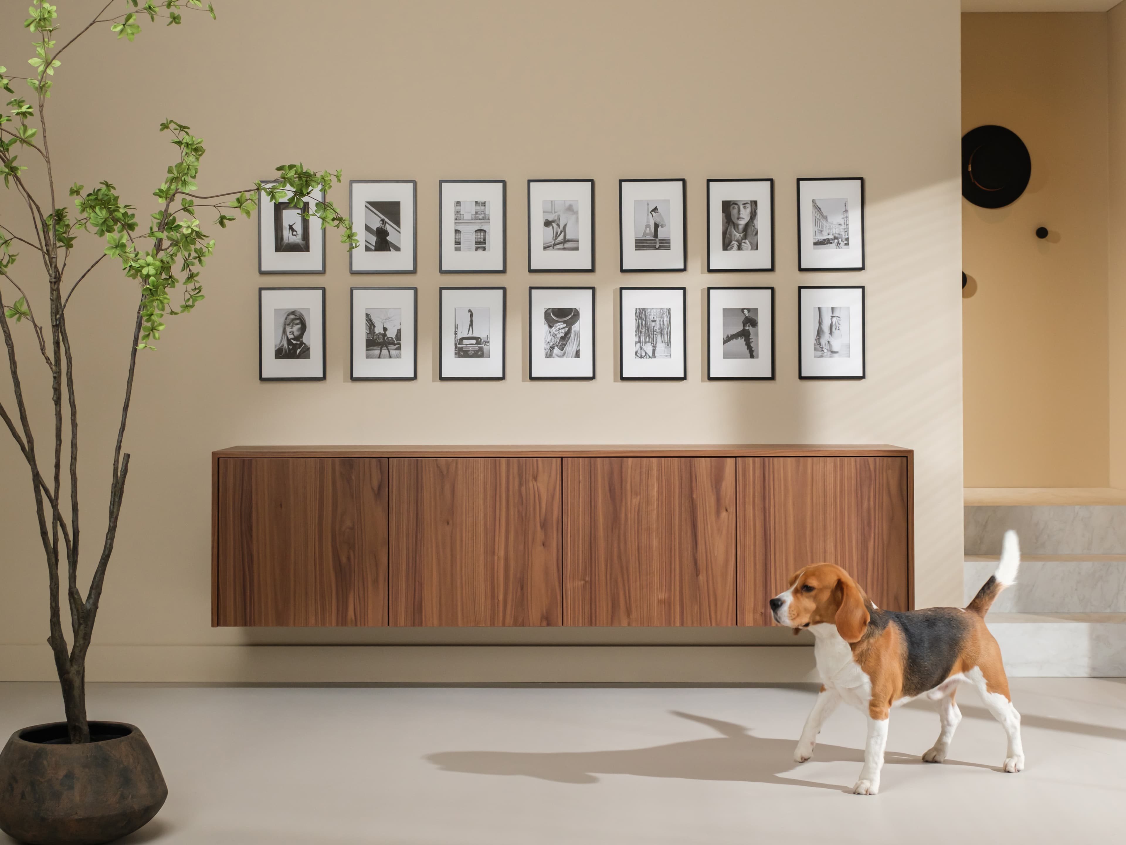 Product afbeelding van series.